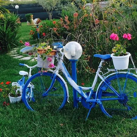 Bed & Breakfast Il Bouganville *