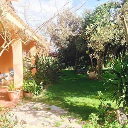 Il Bouganville Bed & Breakfast