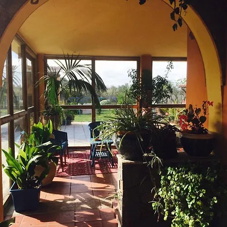 Il Bouganville Bed & Breakfast *