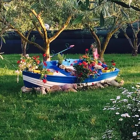 Il Bouganville Bed & Breakfast