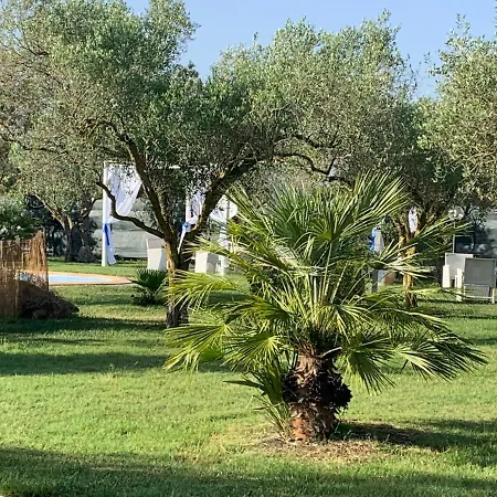 Il Bouganville
