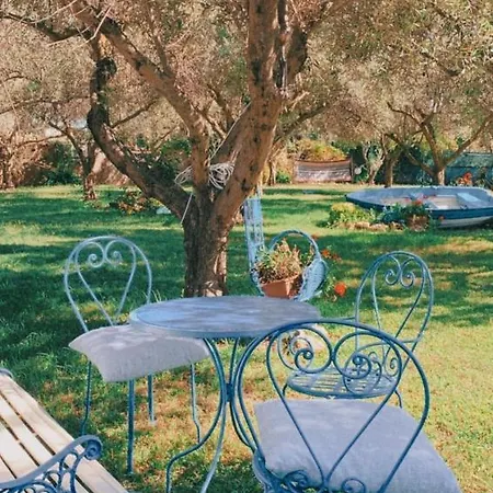Il Bouganville Bed & Breakfast