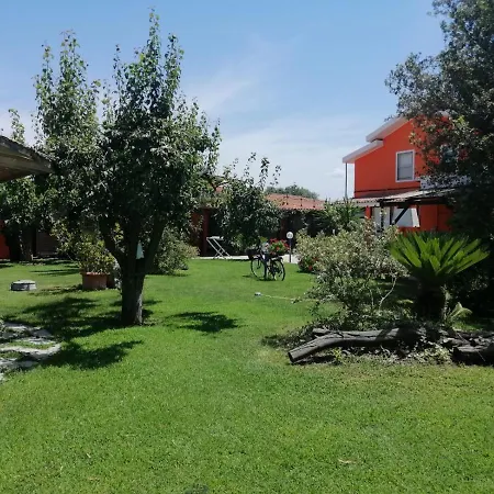 Il Bouganville