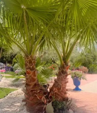Il Bouganville Oristano
