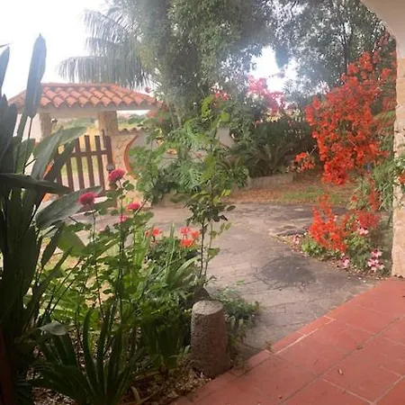 Bed & Breakfast Il Bouganville