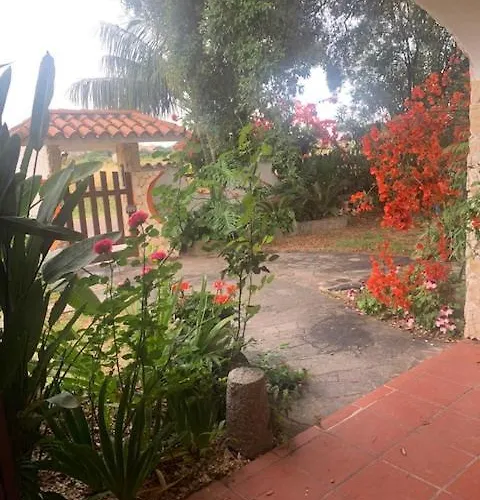 Bed and breakfast Il Bouganville