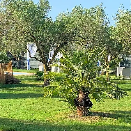 Daire Il Bouganville Oristano